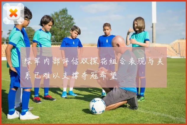 绿军内部评估双探花组合表现与关系已难以支撑夺冠希望
